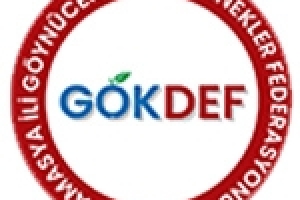 Gokdef.com yayın hayatına başladı